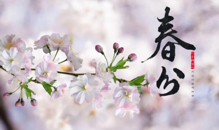 【山東桓藝數控】春分 | 生活明朗，萬物可愛